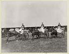  Herbert Hills Marble Hall Horse and Cart display  